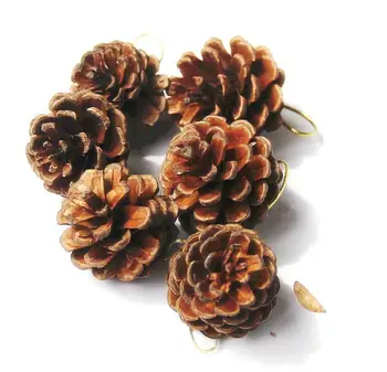 30pcs 4-5cmDried Gamtos Pinecone Gėlių kompozicijų vestuvėms Kalėdų Vakarėlį Medžio Venun Kabinti Apdaila