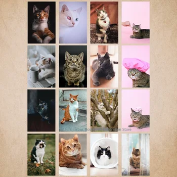 Karšto Pardavimo Gyvūnų Cute Kačių, Diamond Tapyba Visiškai Apvalūs/kvadratiniai Diamond Tapybos, Siuvinėjimo Meno Nuotrauką Strazdų Namų Dekoro