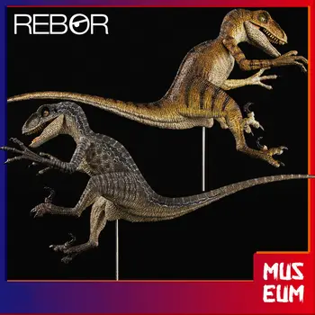 REBOR 1/18 Velociraptor Pav Raptor Dinozaurų Modelis Aleksas Delarge Gyvūnų Apdailos Kūrybos Kalėdų Dovana Kolektorius Vaikų Žaislas