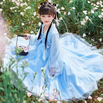 Vaikai Kinijos Hanfu Suknelė Nustatyti, Miela Mergina Maxi Suknelė Kinijos Senovės Vaikų Siuvinėjimo Suknelė, Kostiumas Skirtas Fotografavimui Baigimo