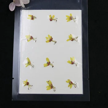 60pcs Mini 1-1.5 cm Džiovintų Presuotų Cytisusscoparius Gėlių, Augalų Herbariumas Papuošalai Žymą Telefono dėklas užrašų knygelė Amatų 