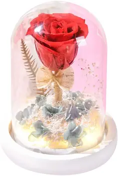 Dirbtinių Gėlių, Rankų darbo Konservuoti Rose su Stiklo Kupolu, Dovana Valentino Dienos Jubiliejų, Vestuvių, Gimtadienio Stiklo Rose