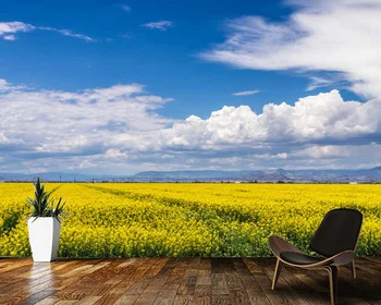 Papel de parede Ūkio srityje, su geltona rapsų sėklų žydi vasaros kraštovaizdžio tapetai,svetainė, tv miegamojo sienos freskos
